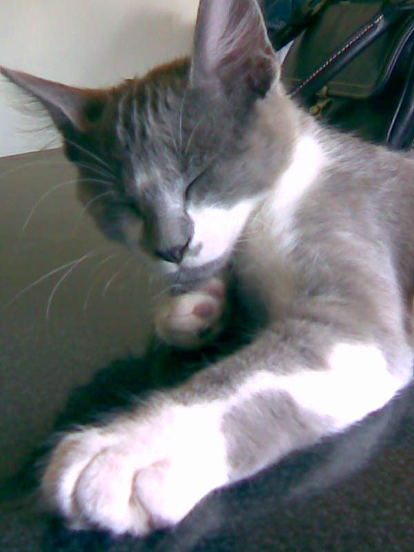 fotos/0000-00-00 - Infancia/Imagen056.jpg